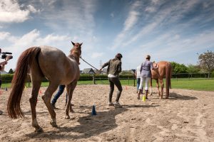 leiderschap flow succes energie burnout