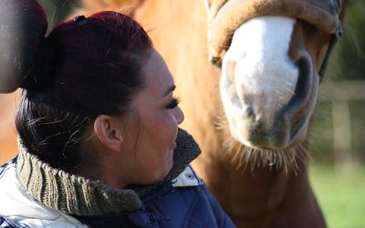 Communicatie, het paard als spiegel