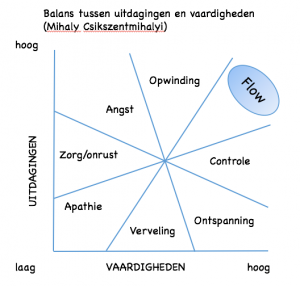 flow leider team doel samenwerken ondernemer uitdagingen